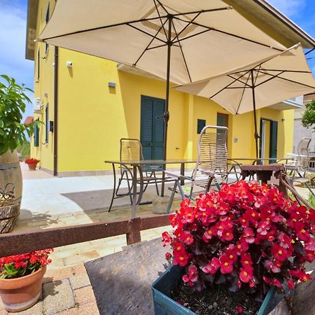 La Casa Del Vino - B&B Tollo Dış mekan fotoğraf