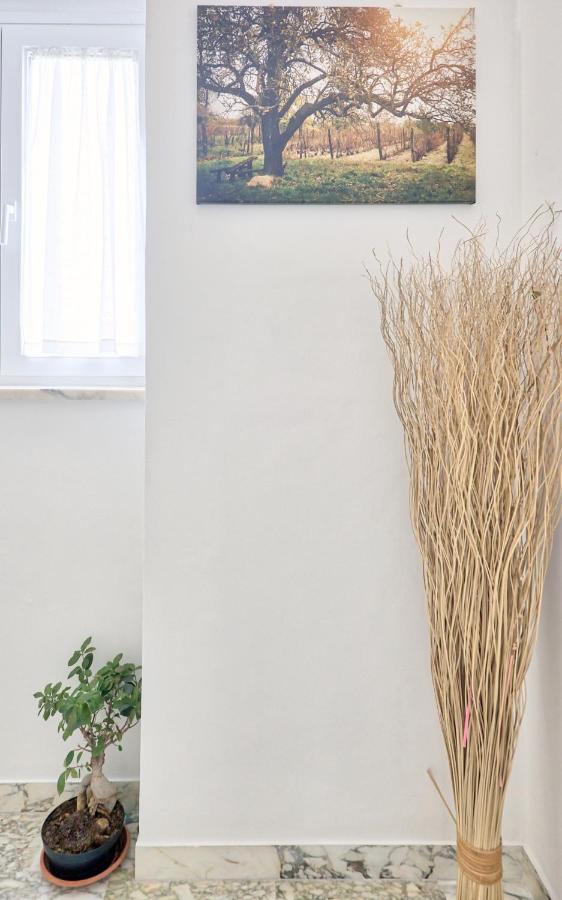 La Casa Del Vino - B&B Tollo Dış mekan fotoğraf