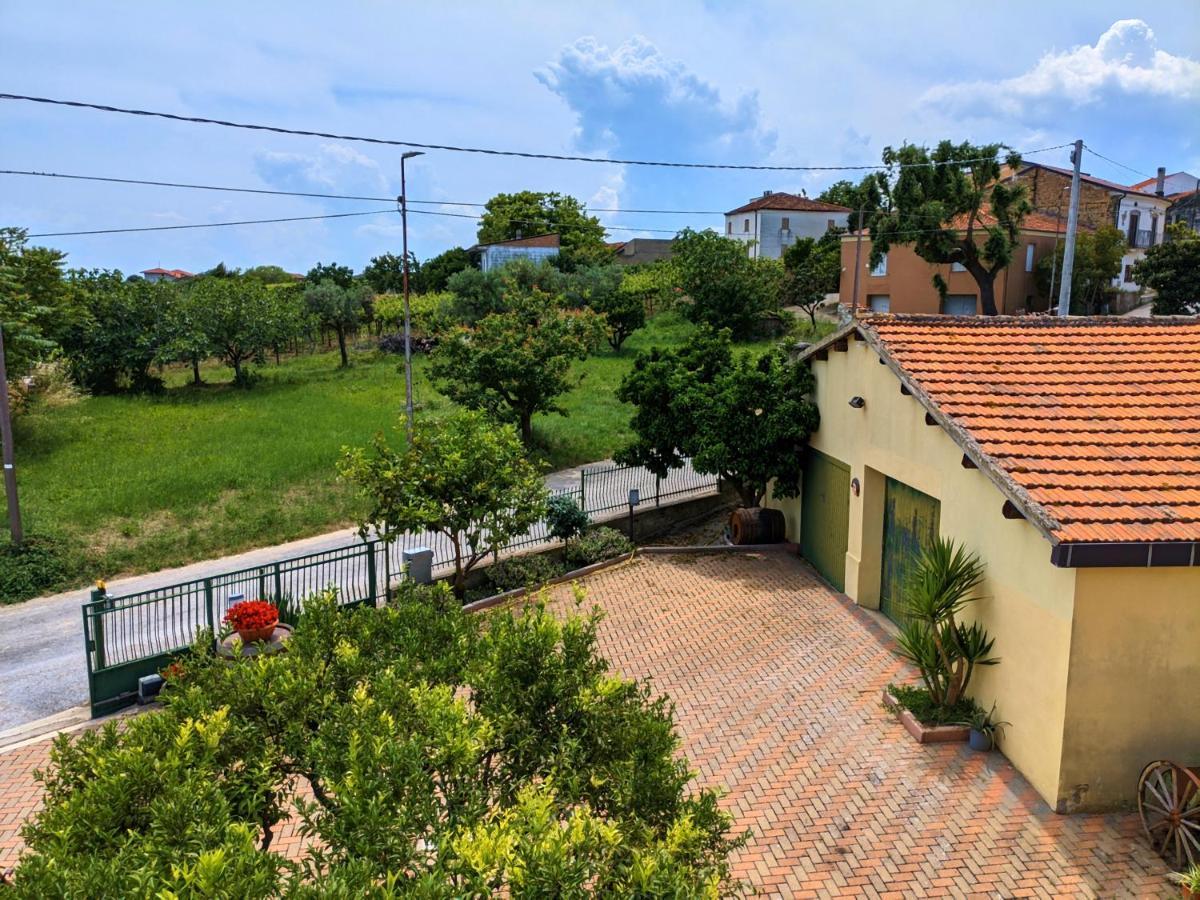 La Casa Del Vino - B&B Tollo Dış mekan fotoğraf